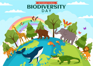 biodiversita2010