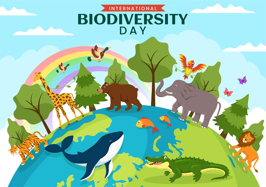 Biodiversität: Internationale Jahr der biologischen Vielfalt 2010