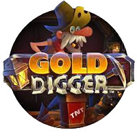 Fazit zum Automatenspiel Gold Digger