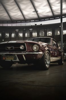 Ford Mustang Auto