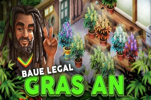 Hempire Cannabis Game