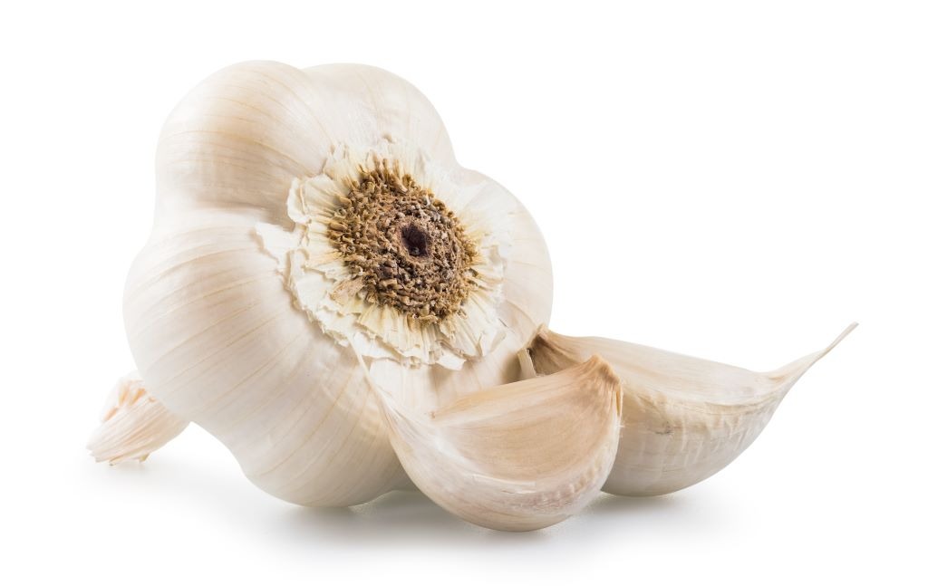 Knoblauch Super Gemüse