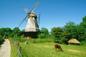 Die Landwirtschaft und ihre Zukunft