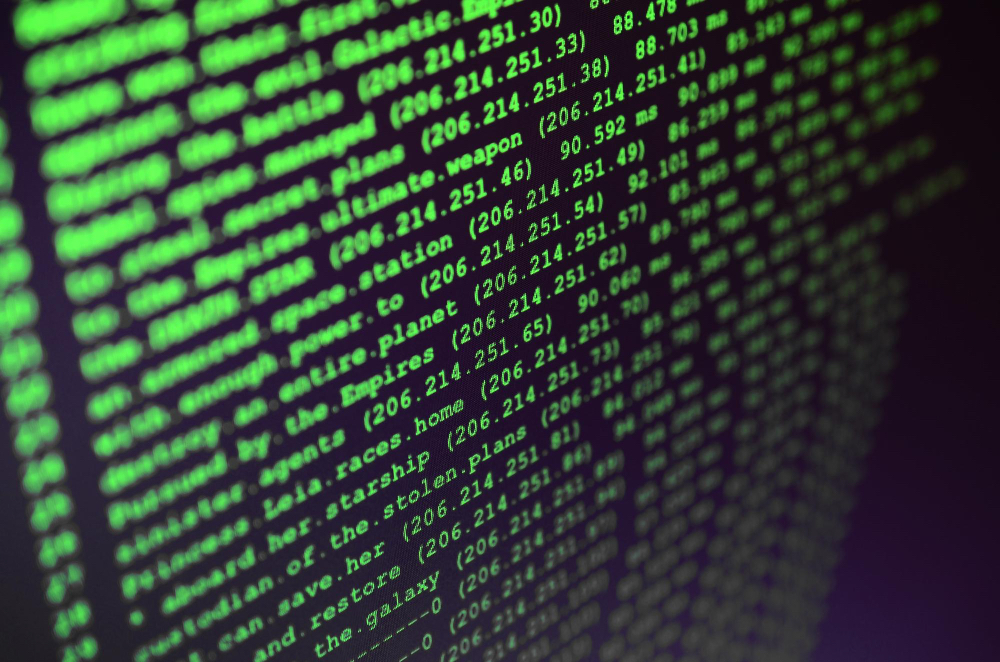 Mitmachen und Programmieren