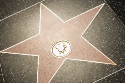 hollywood star