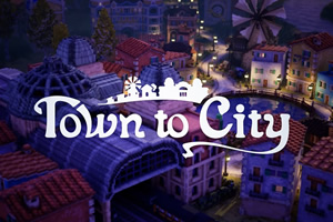 town-to-city_preview